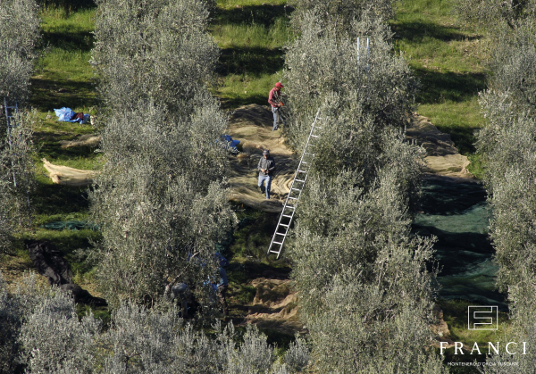 Preview: Olivenöl Extra Vergine Bio Franci Toskana